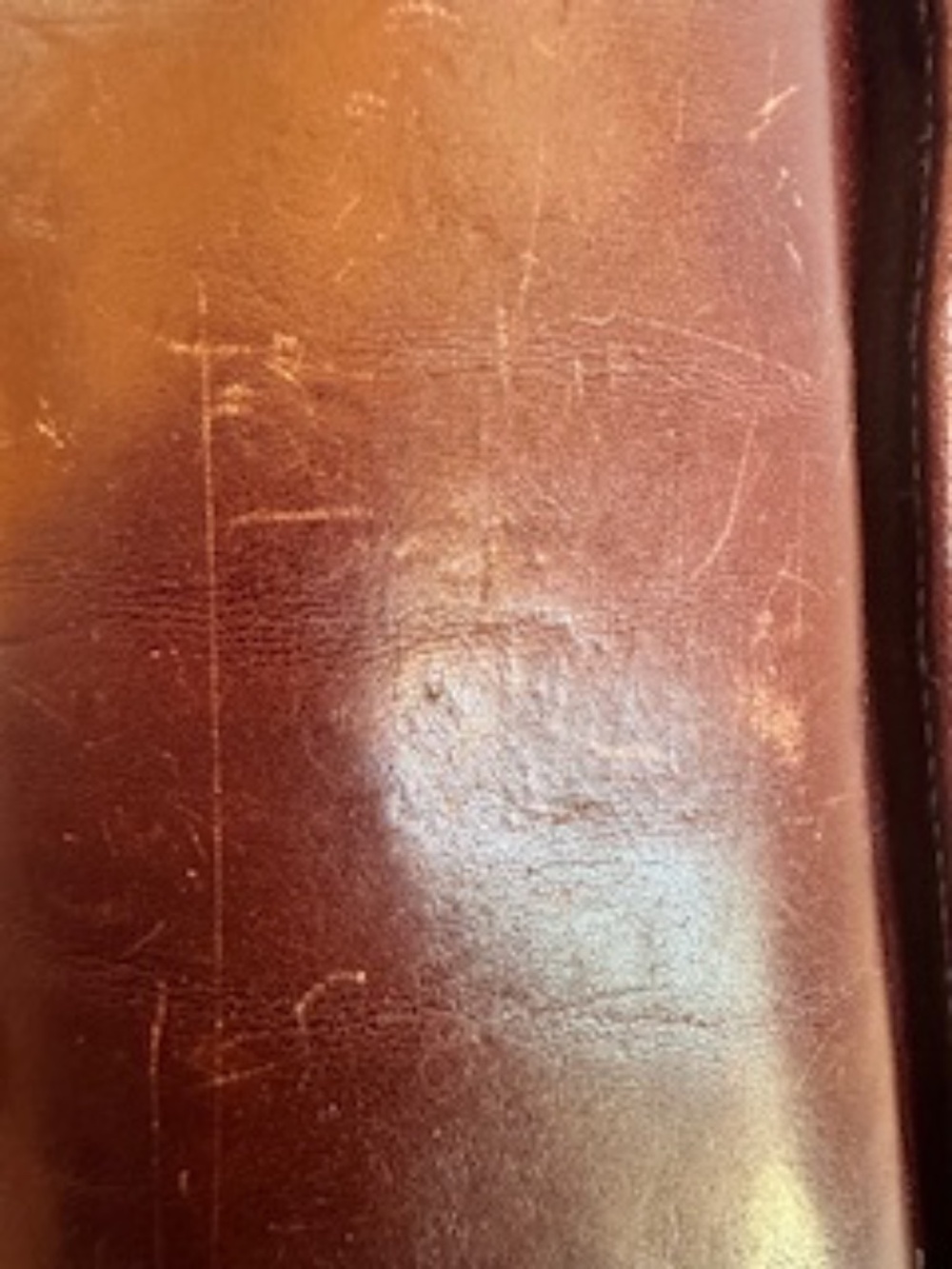 BRAHMIN - Picture 6 of 14